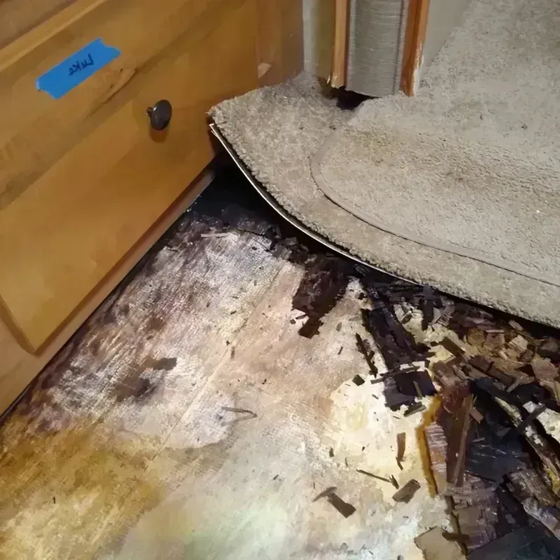 Wood Floor Water Damage in Woodway, WA